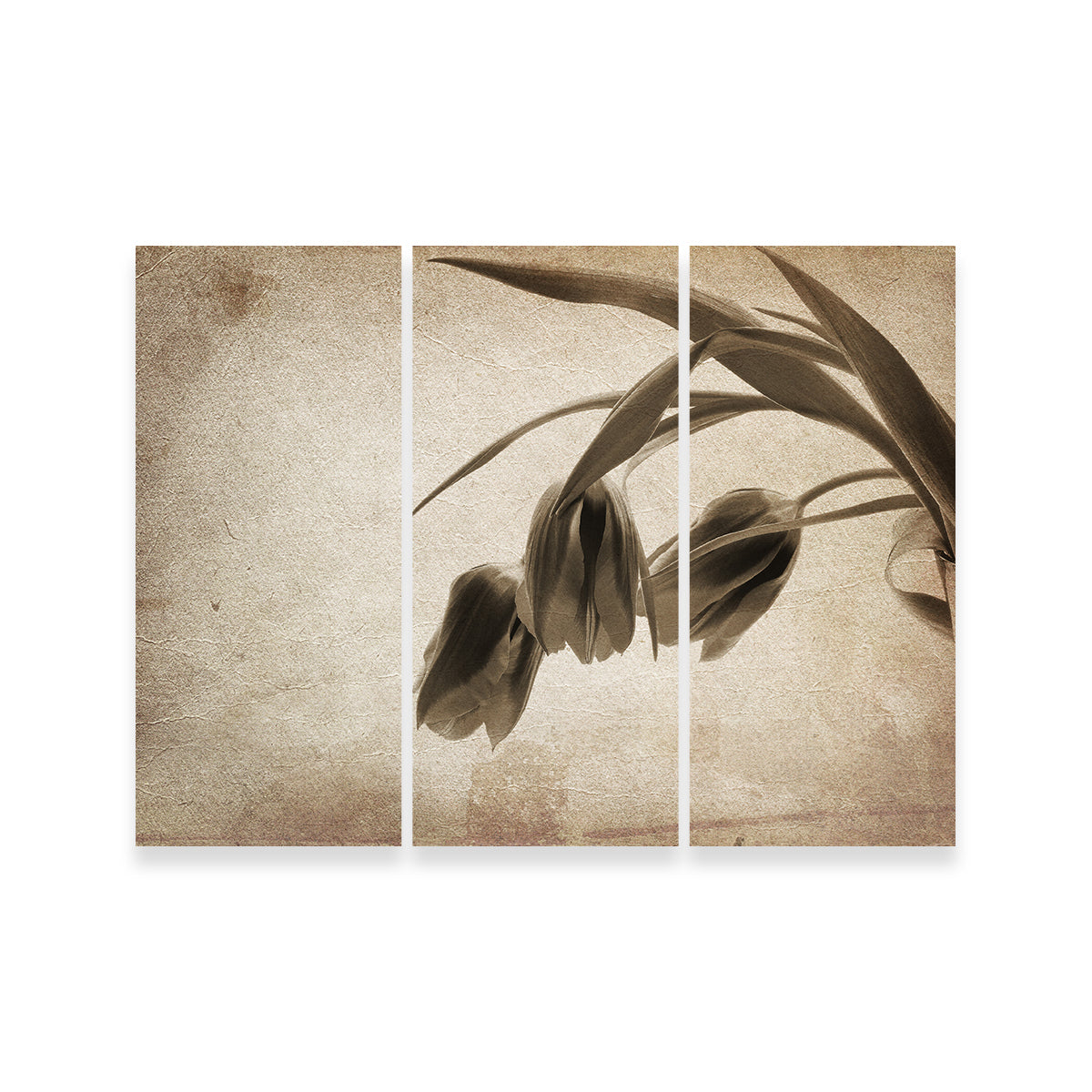Vintage Flowers Wall Art