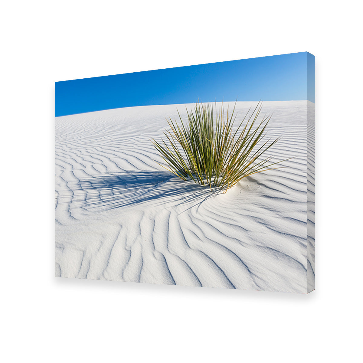 WHITE SANDS Idyllic Scenery Wall Art