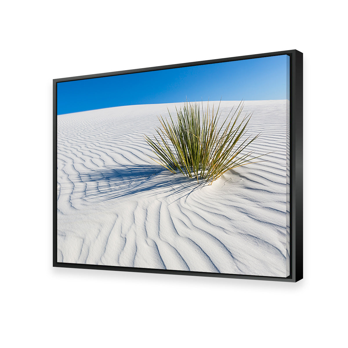 WHITE SANDS Idyllic Scenery Wall Art