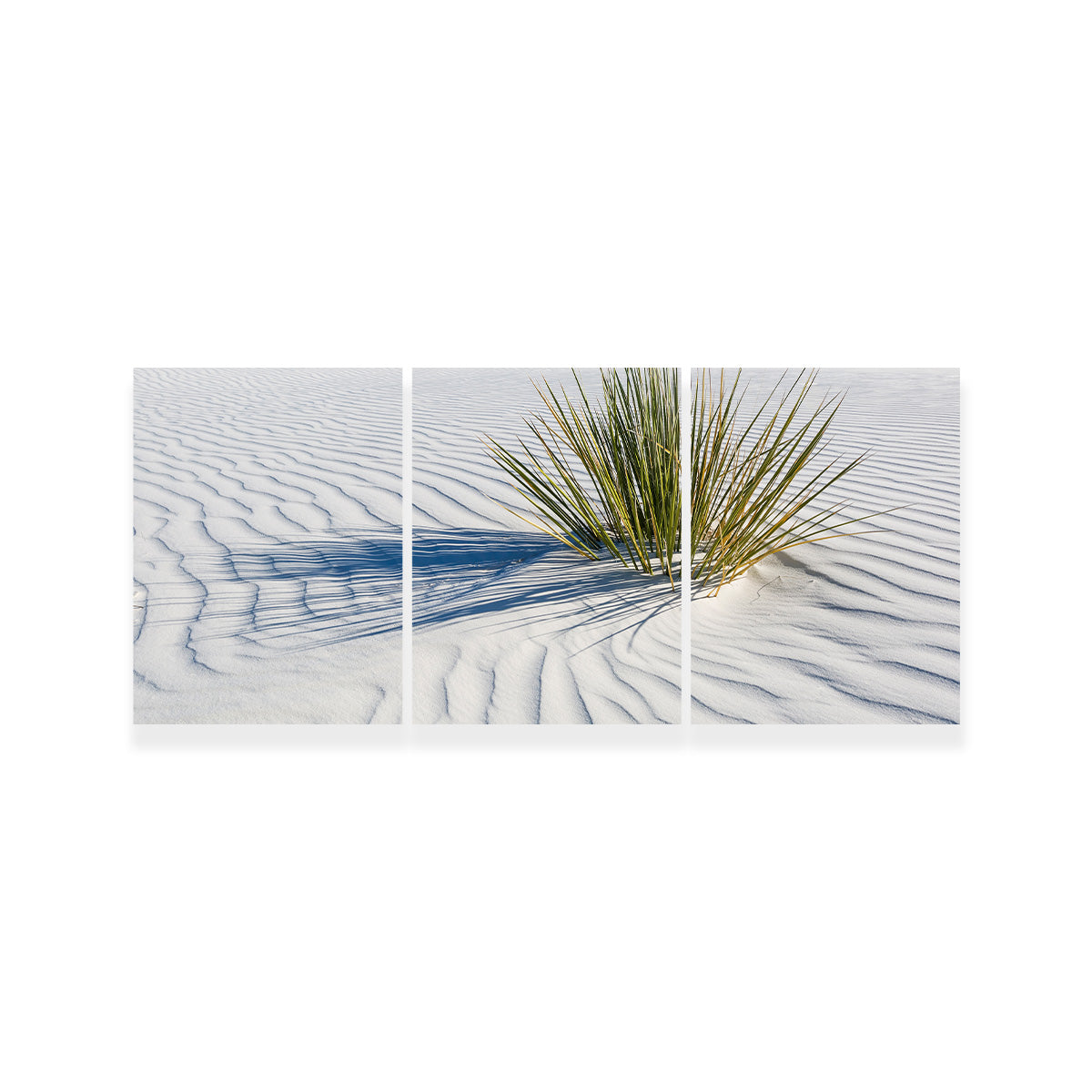 WHITE SANDS Idyllic Scenery Wall Art