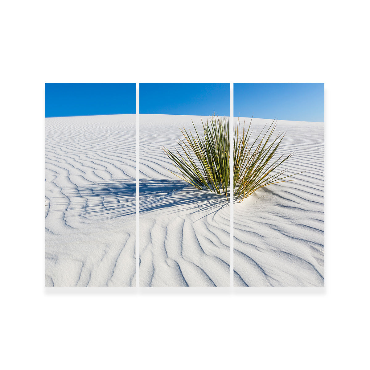 WHITE SANDS Idyllic Scenery Wall Art