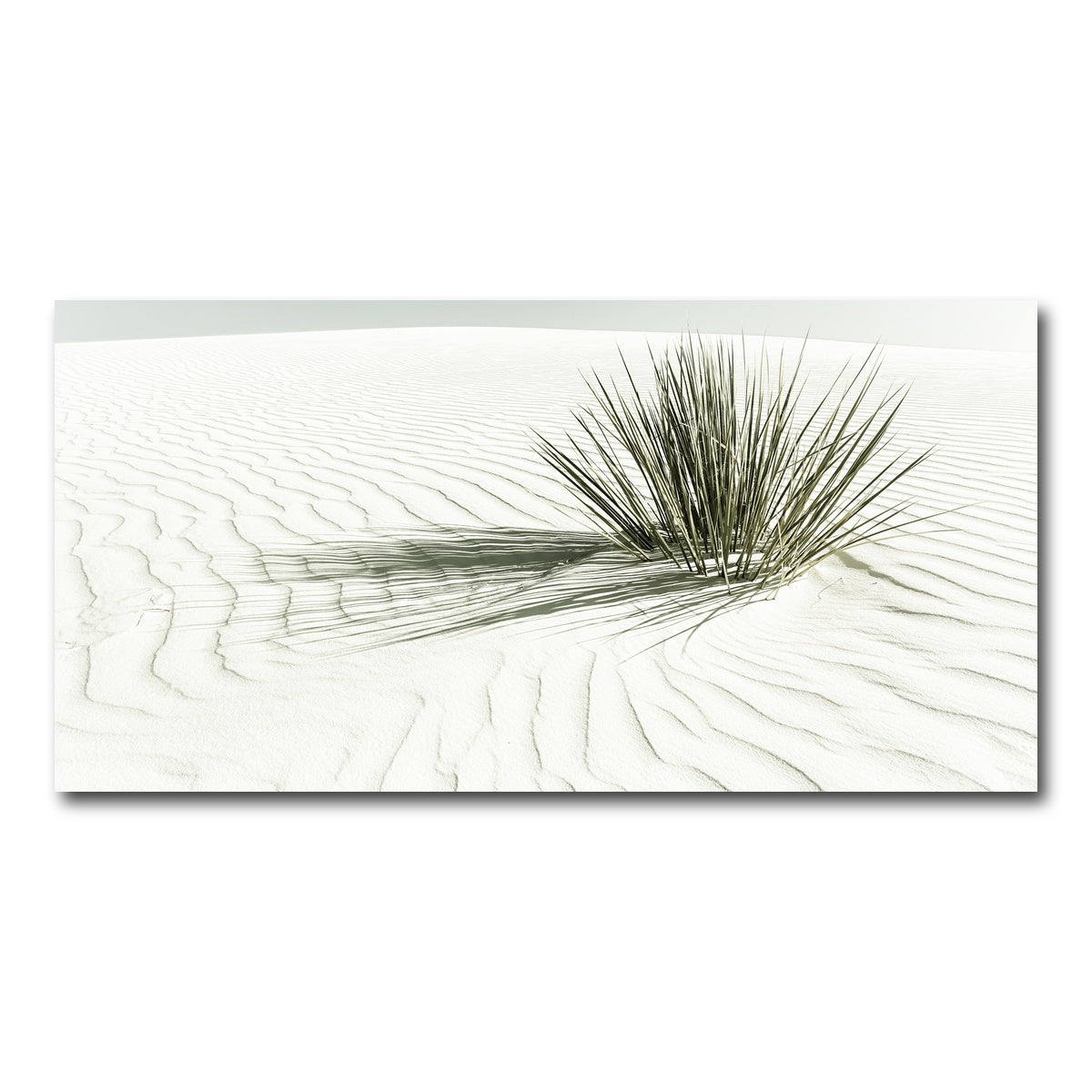 AUTO-MOCKUP WHITE | WHITE SANDS Vintage Dune | 1 Piece | Gallery Wrap Canvas | group=2x1