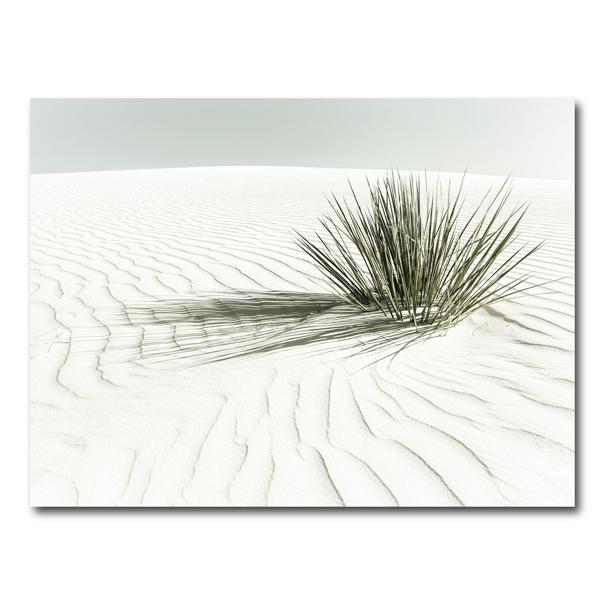 AUTO-MOCKUP WHITE | WHITE SANDS Vintage Dune | 1 Piece | Gallery Wrap Canvas | group=4x3