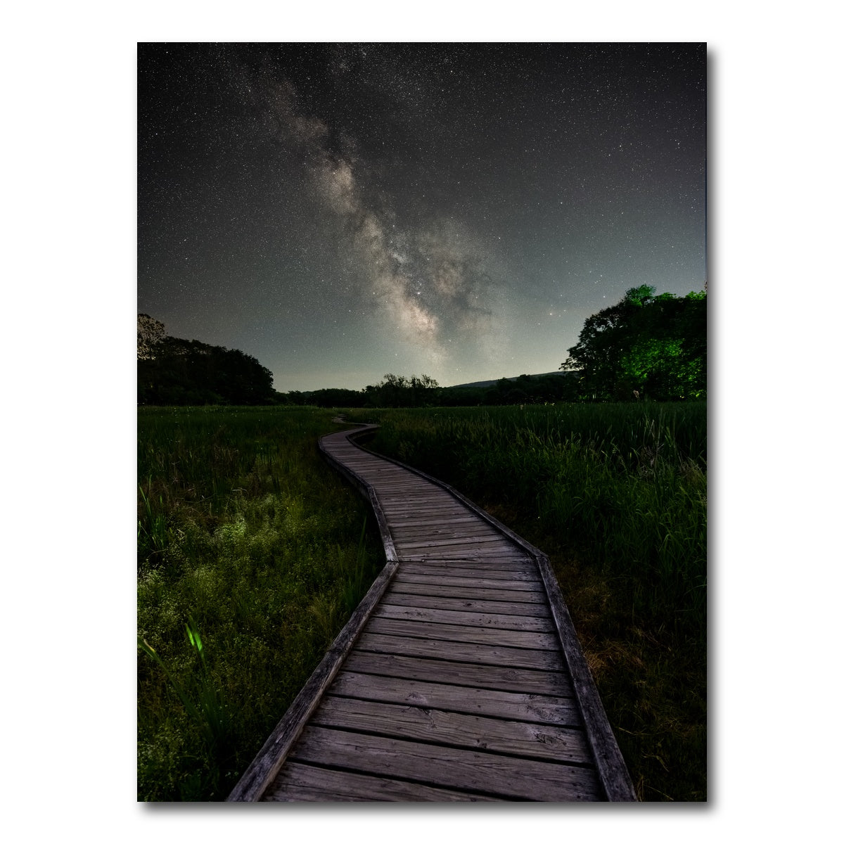 AUTO-MOCKUP WHITE | Walk Amongst the Stars | 1 Piece | Gallery Wrap Canvas | group=3x4