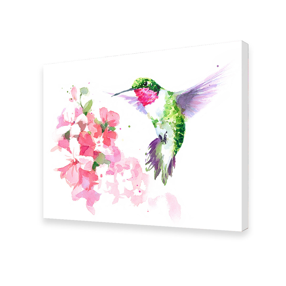 Watercolor Hummingbird Wall Art