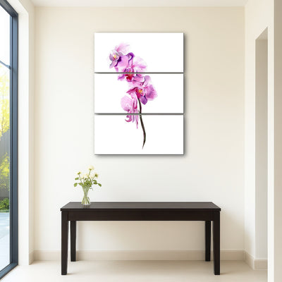 AUTO-MOCKUP ROOM | Watercolor orchid