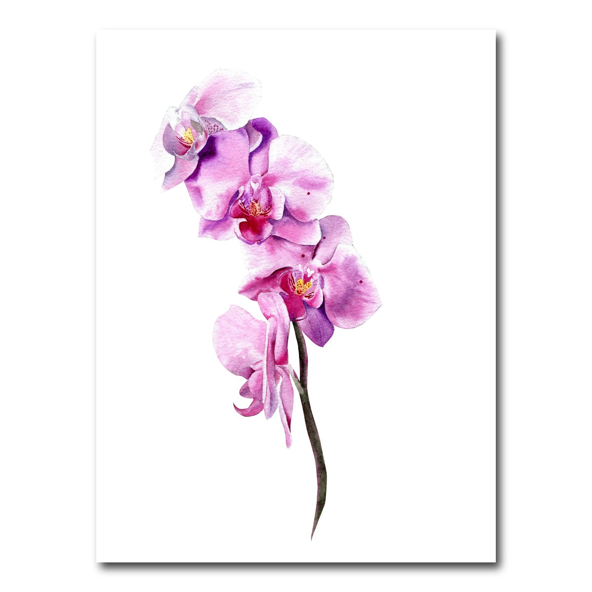 AUTO-MOCKUP WHITE | Watercolor orchid | 1 Piece | Gallery Wrap Canvas | group=3x4