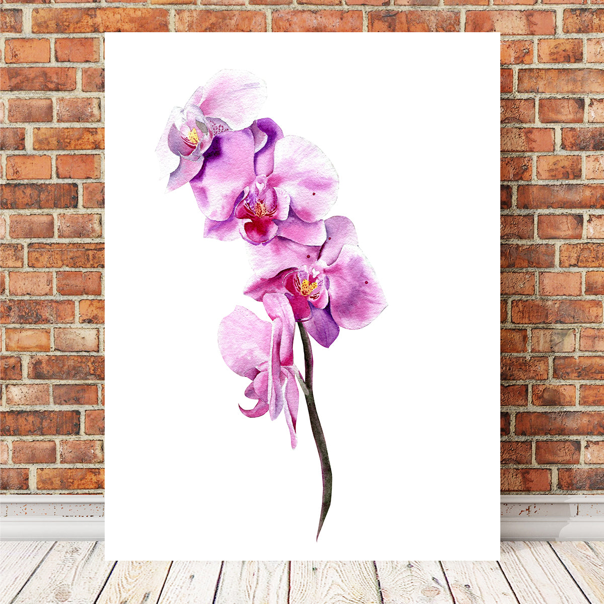 Watercolor Orchid