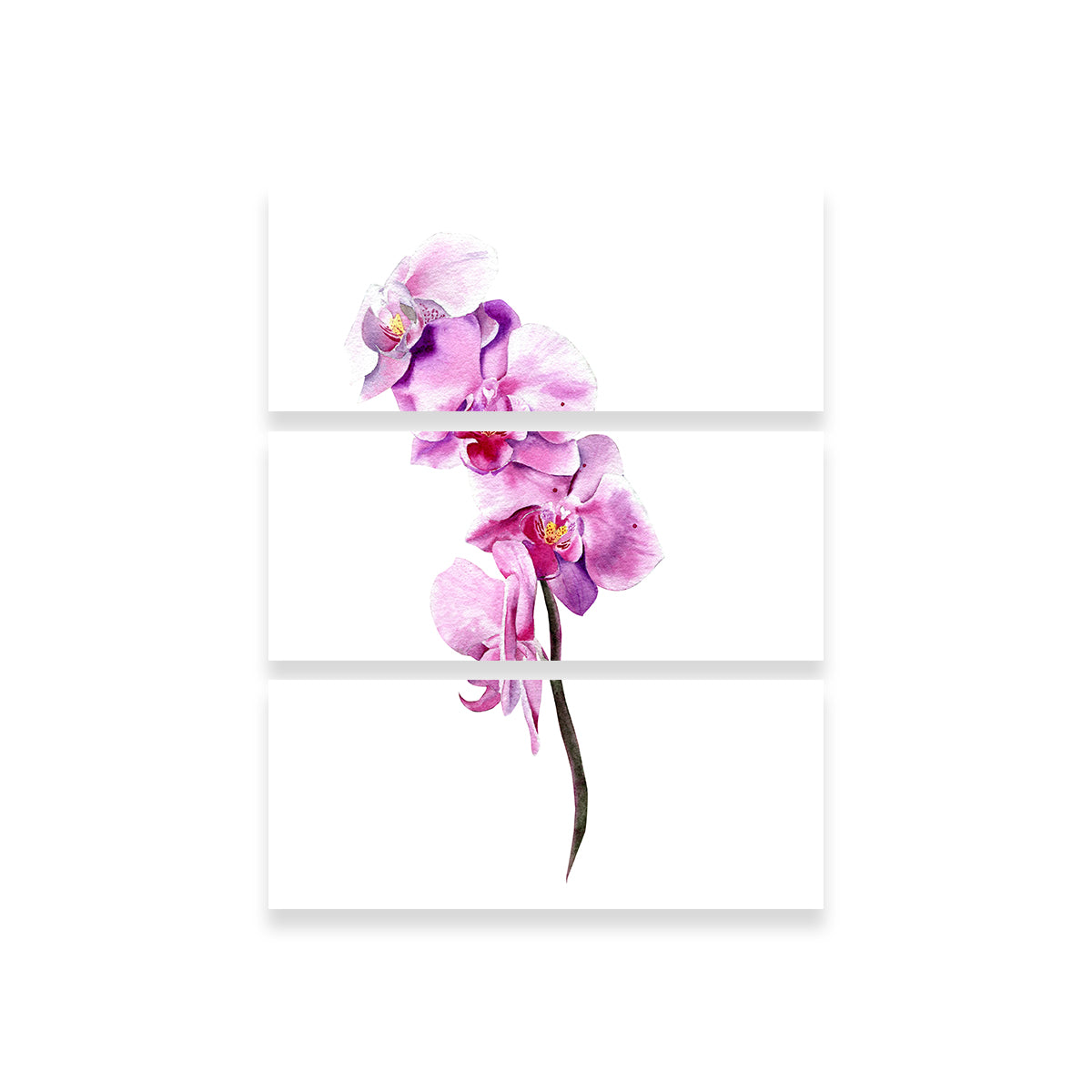 Watercolor Orchid