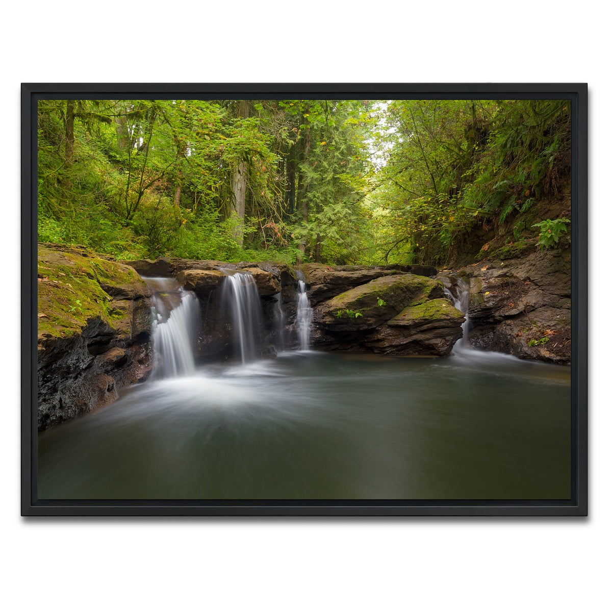 AUTO-MOCKUP WHITE | Waterfall at Rock Creek | 1 Piece | Black Framed Canvas | group=4x3