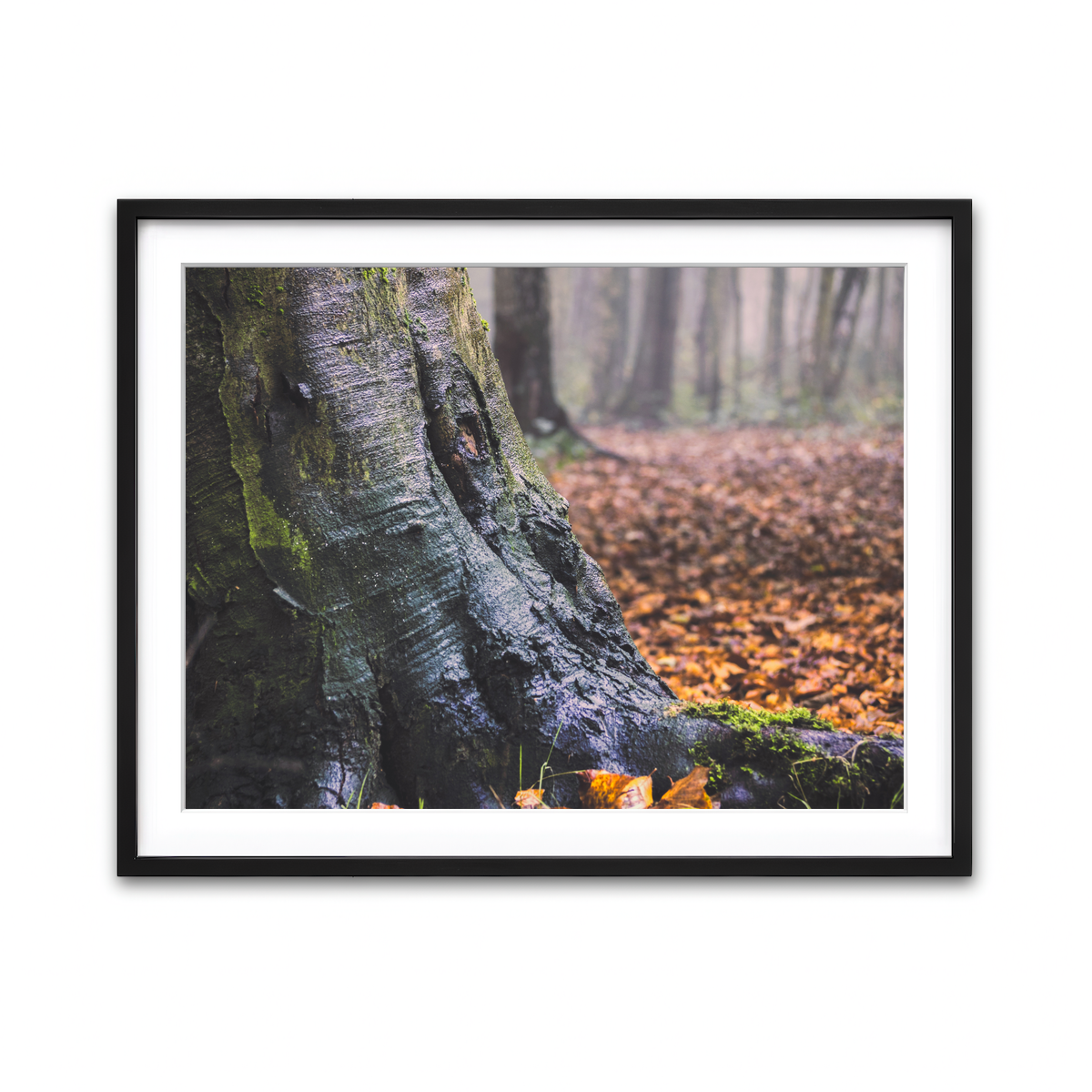 Framed Print 4x3 Black