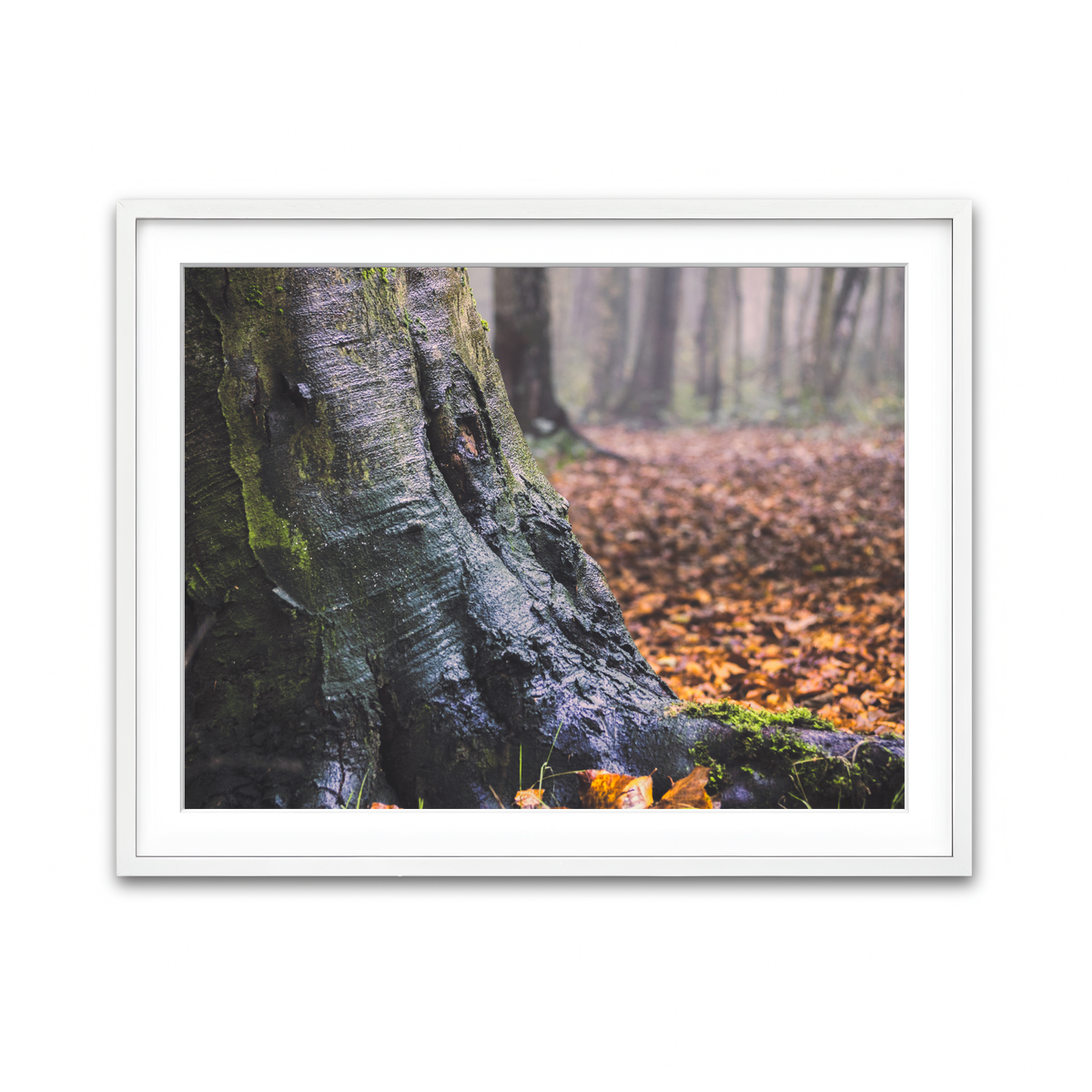 Framed Print 4x3 White