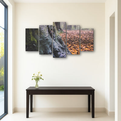 AUTO-MOCKUP ROOM | Weathered Trunk