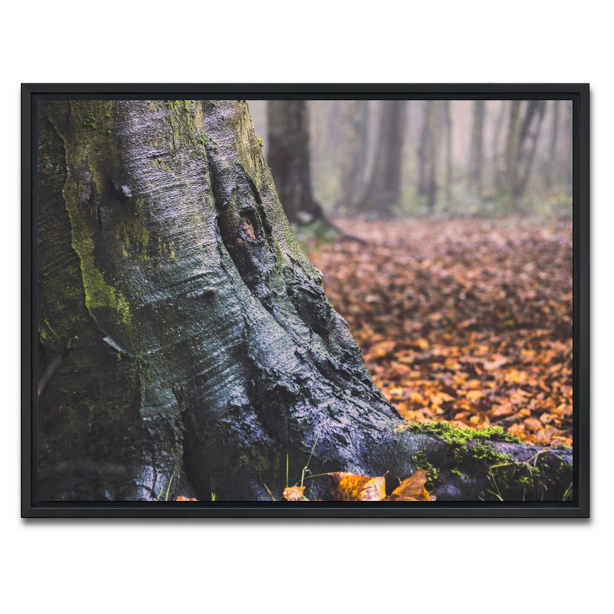 AUTO-MOCKUP WHITE | Weathered Trunk | 1 Piece | Black Framed Canvas | group=4x3