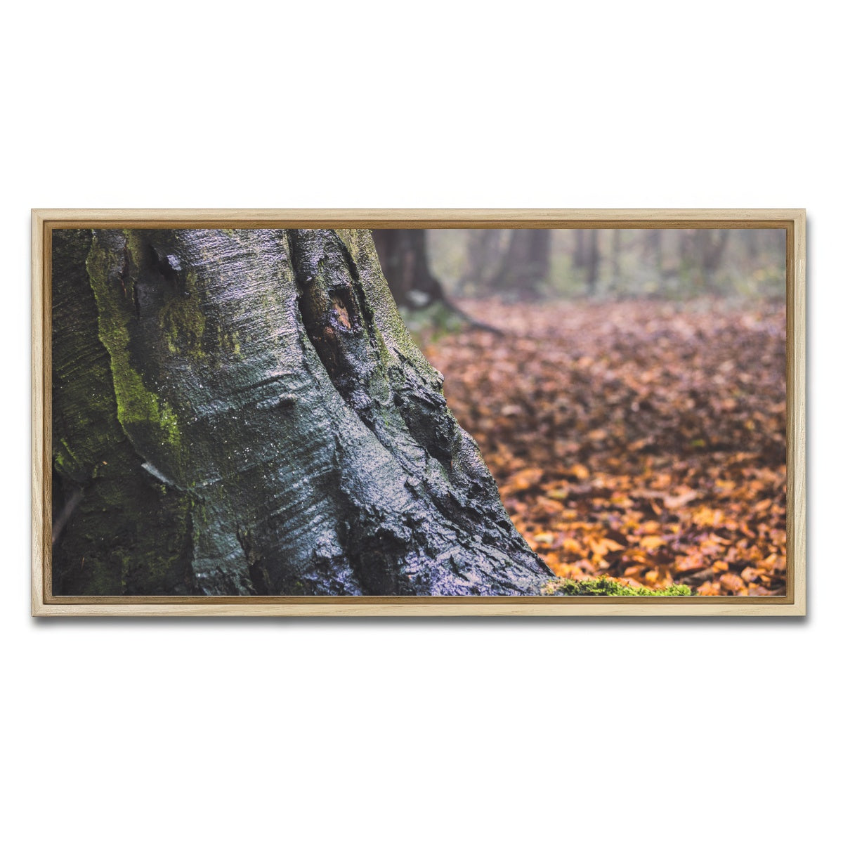 AUTO-MOCKUP WHITE | Weathered Trunk | 1 Piece | Natural Framed Canvas | group=2x1