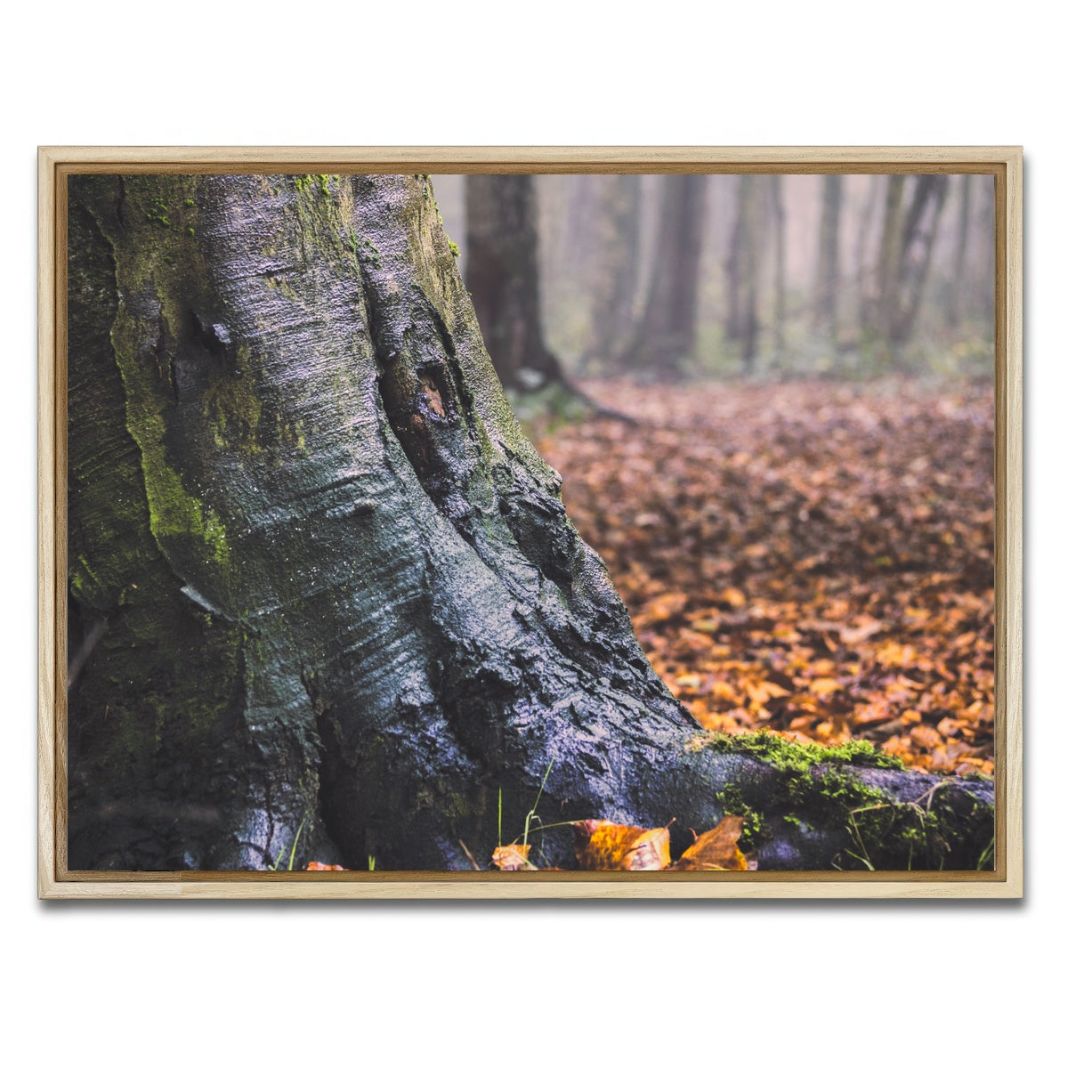 AUTO-MOCKUP WHITE | Weathered Trunk | 1 Piece | Natural Framed Canvas | group=4x3