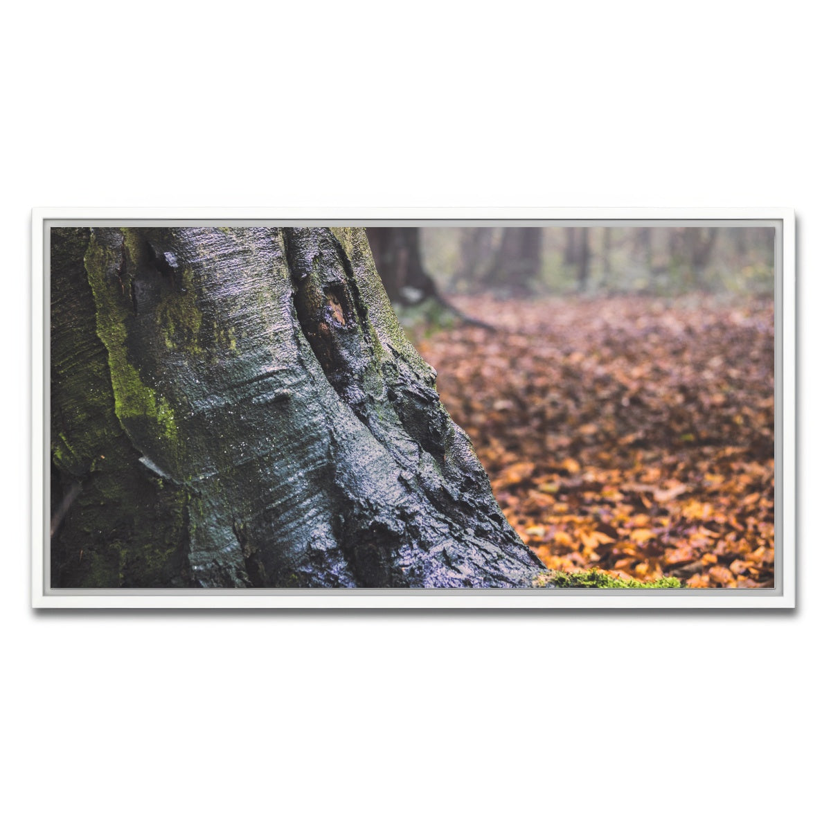 AUTO-MOCKUP WHITE | Weathered Trunk | 1 Piece | White Framed Canvas | group=2x1