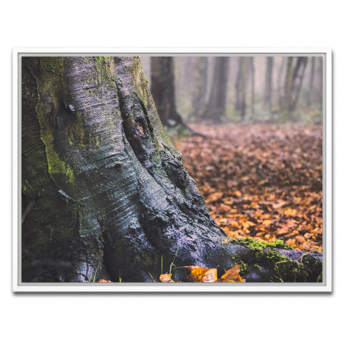 AUTO-MOCKUP WHITE | Weathered Trunk | 1 Piece | White Framed Canvas | group=4x3