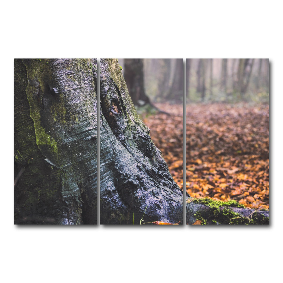 AUTO-MOCKUP WHITE | Weathered Trunk | 3 Piece | Gallery Wrap Canvas | group=12x24