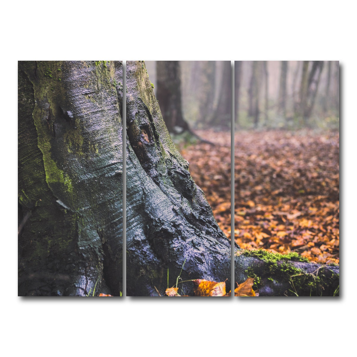 AUTO-MOCKUP WHITE | Weathered Trunk | 3 Piece | Gallery Wrap Canvas | group=8x18