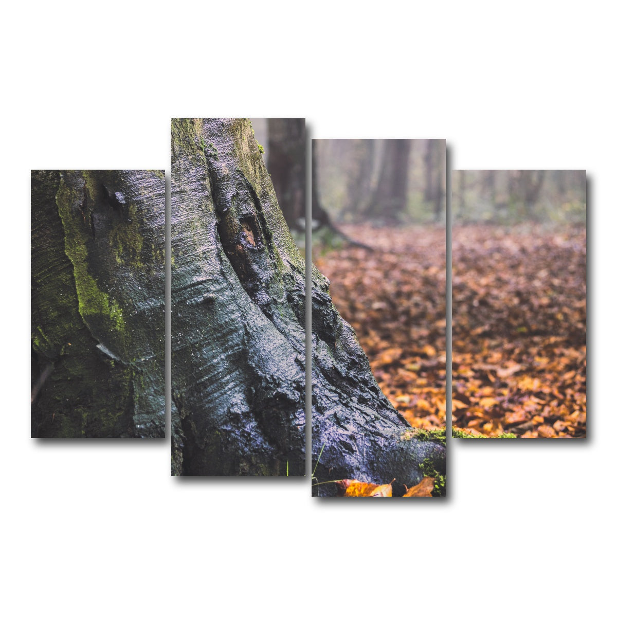 AUTO-MOCKUP WHITE | Weathered Trunk | 4 Piece | Gallery Wrap Canvas | group=4_short