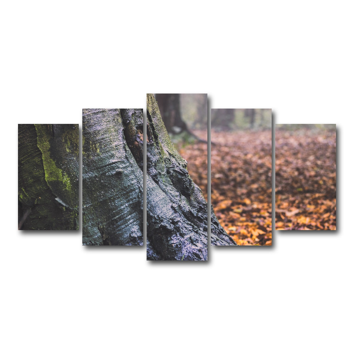 AUTO-MOCKUP WHITE | Weathered Trunk | 5 Piece | Gallery Wrap Canvas | group=5_normal