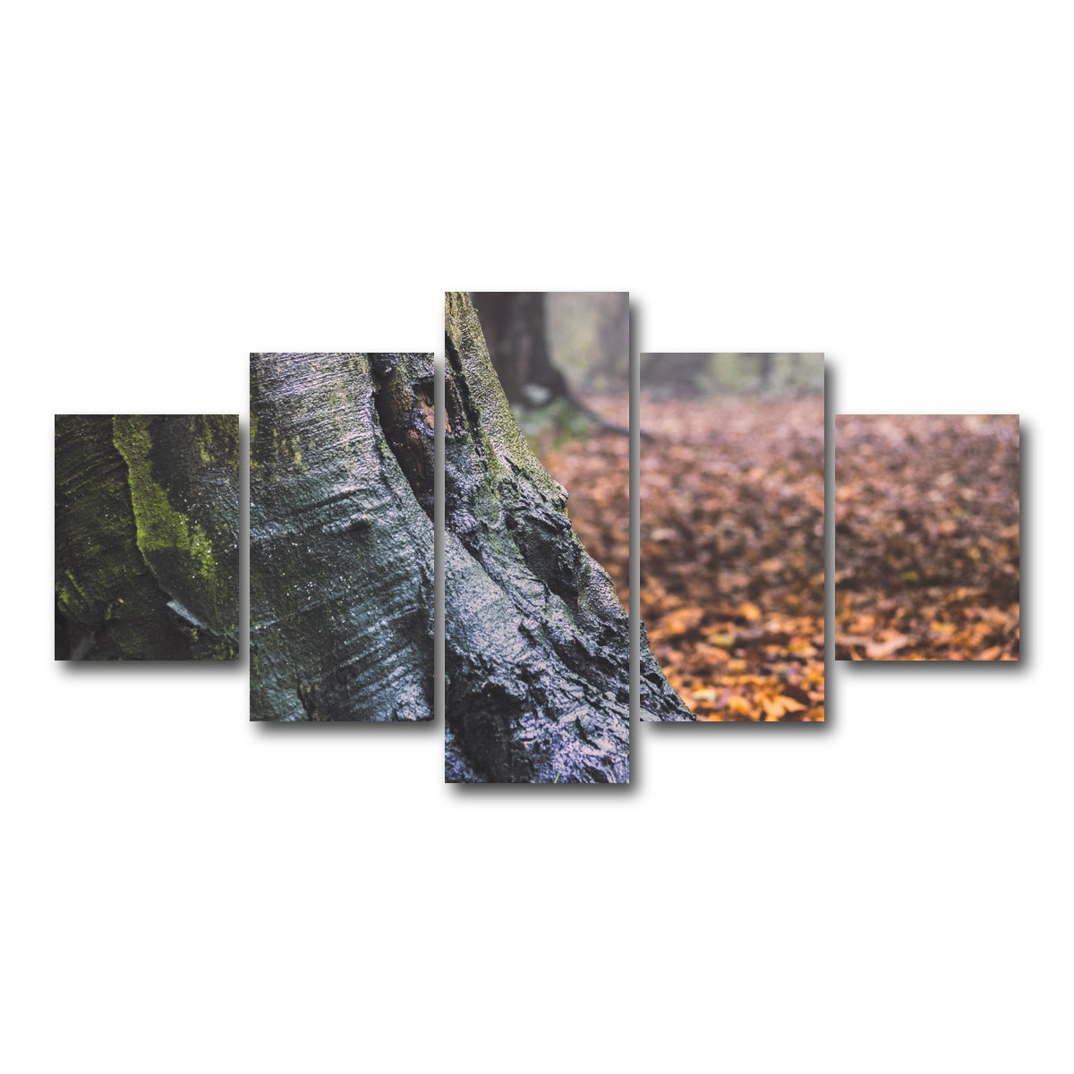 AUTO-MOCKUP WHITE | Weathered Trunk | 5 Piece | Gallery Wrap Canvas | group=5_short