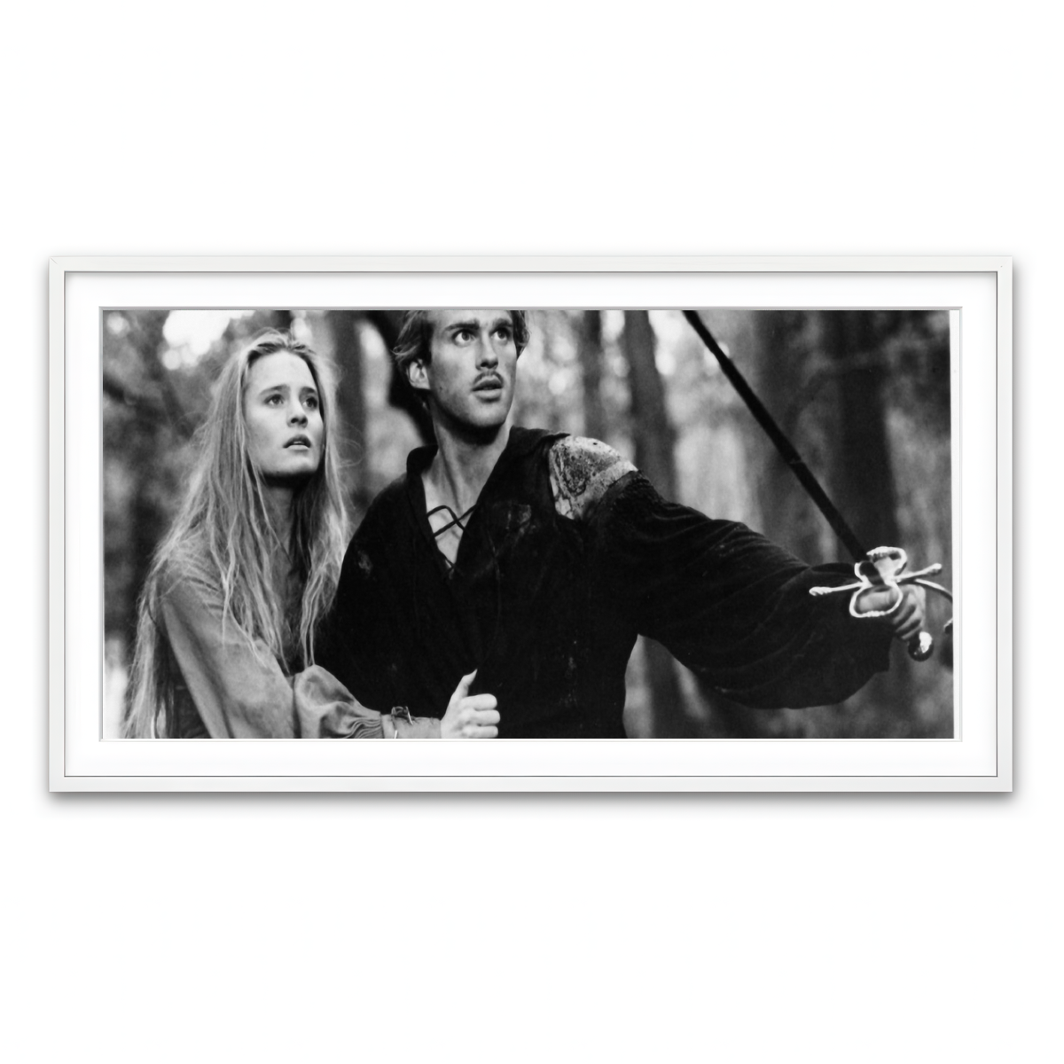 Framed Print 2x1 White