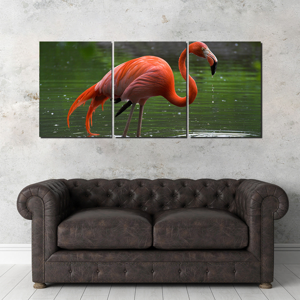 Wet Flamingo Wall Art