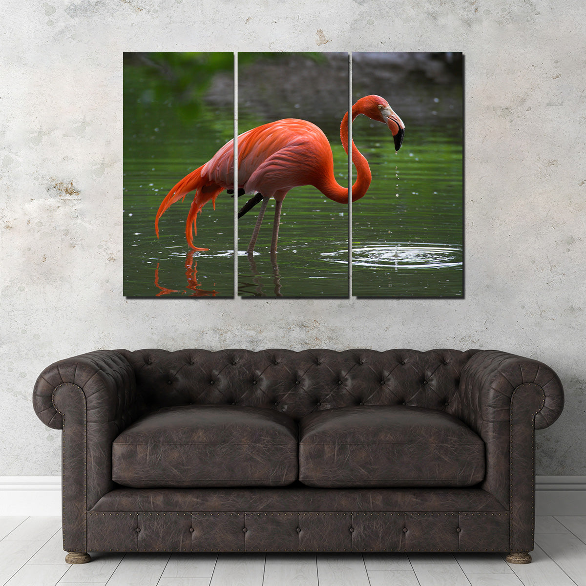 Wet Flamingo Wall Art