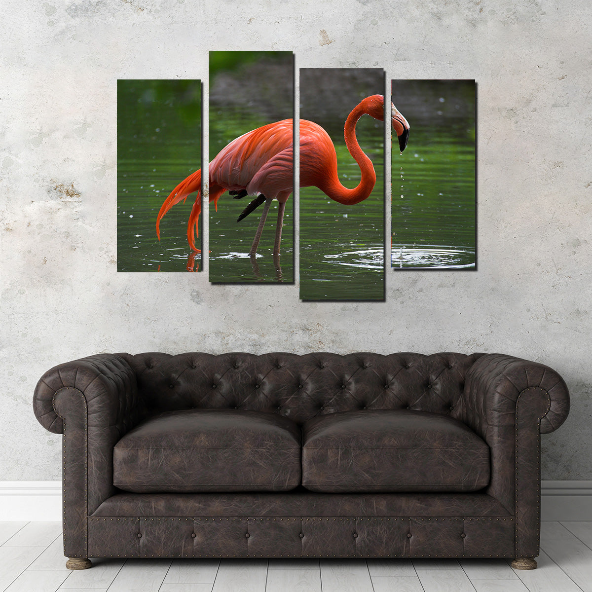 Wet Flamingo Wall Art