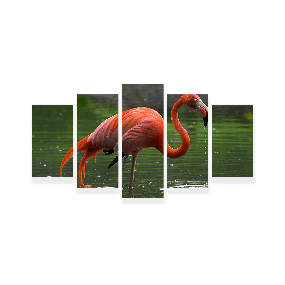 Wet Flamingo Wall Art