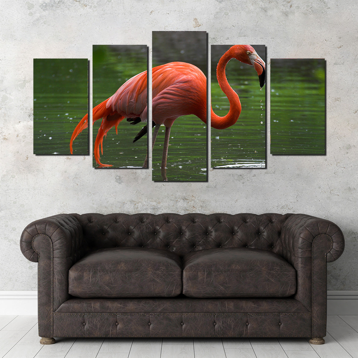 Wet Flamingo Wall Art