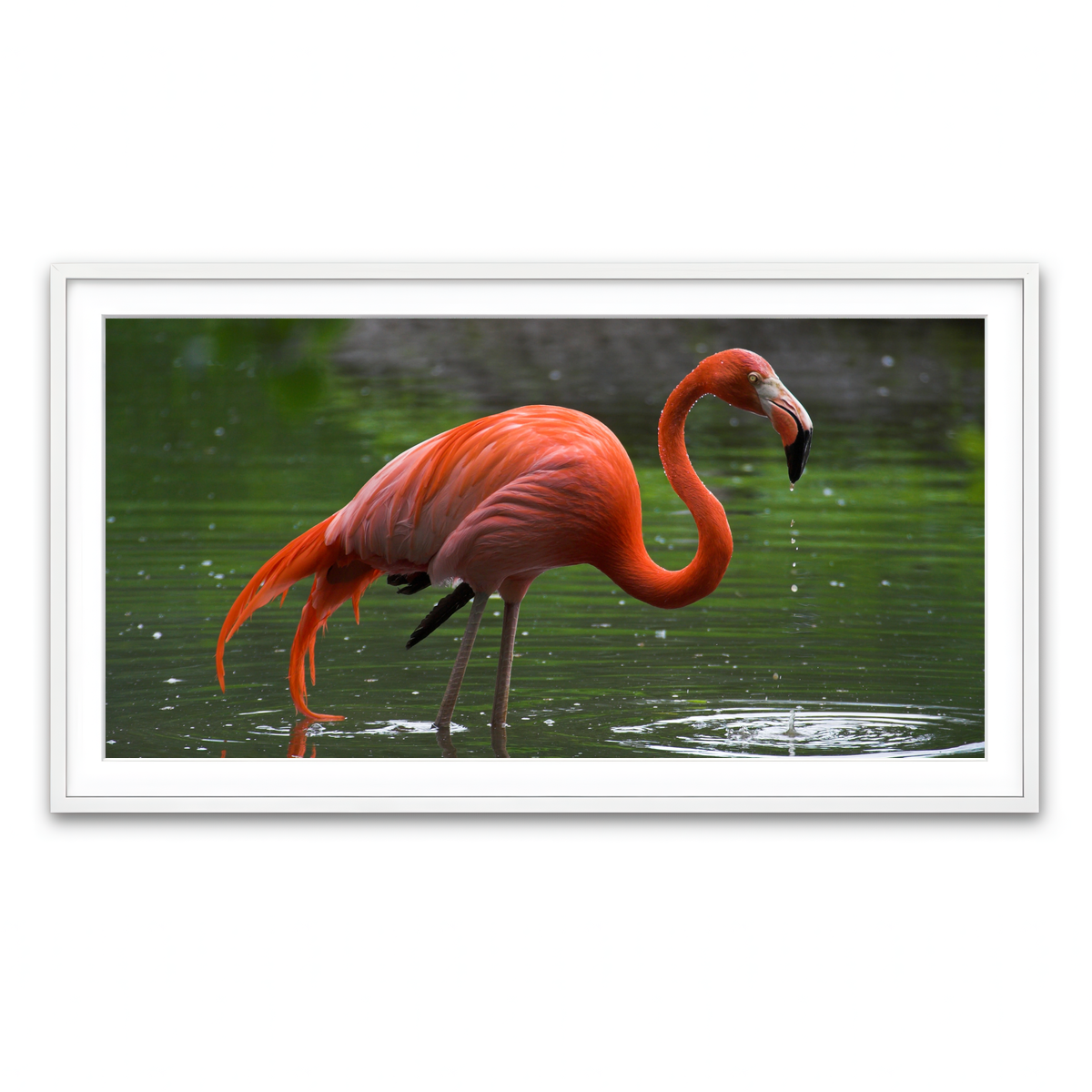 Framed Print 2x1 White