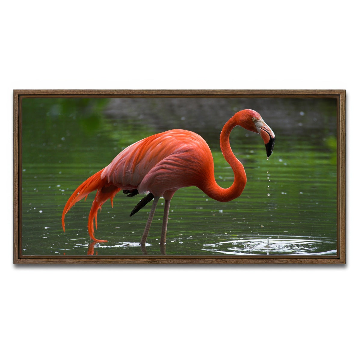 AUTO-MOCKUP WHITE | Wet Flamingo | 1 Piece | Walnut Framed Canvas | group=2x1