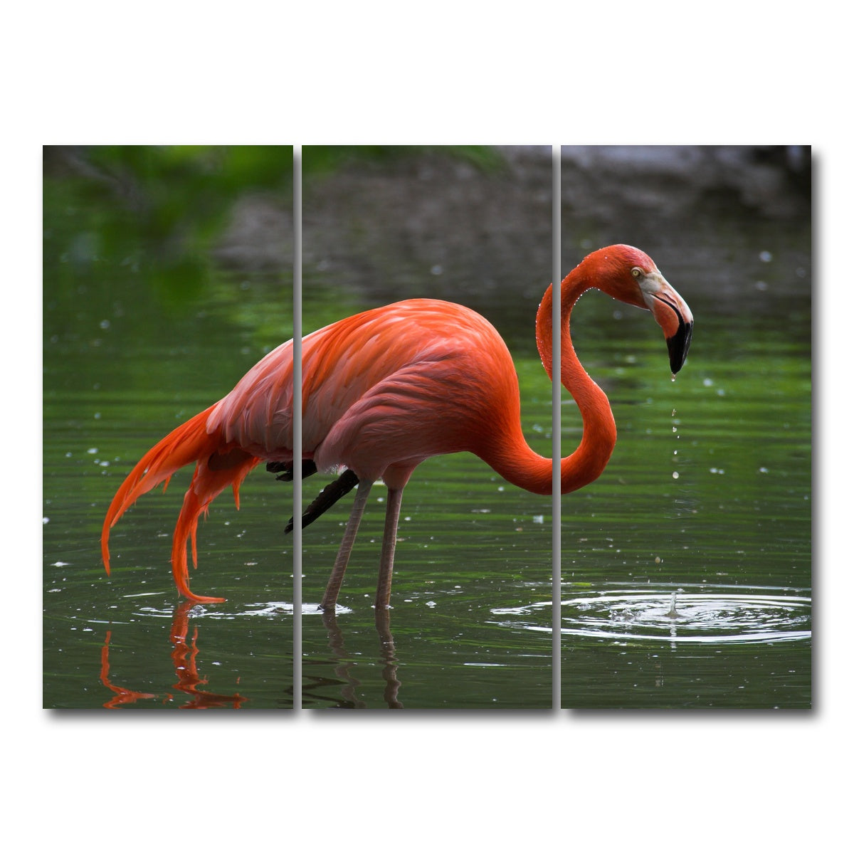 AUTO-MOCKUP WHITE | Wet Flamingo | 3 Piece | Gallery Wrap Canvas | group=8x18