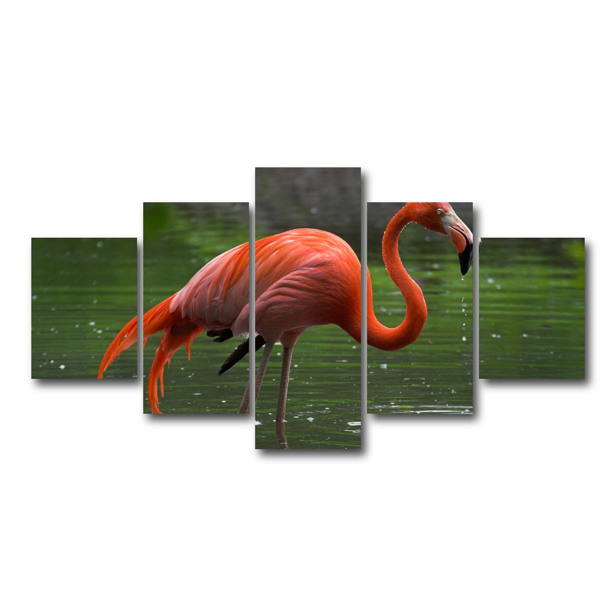 AUTO-MOCKUP WHITE | Wet Flamingo | 5 Piece | Gallery Wrap Canvas | group=5_short