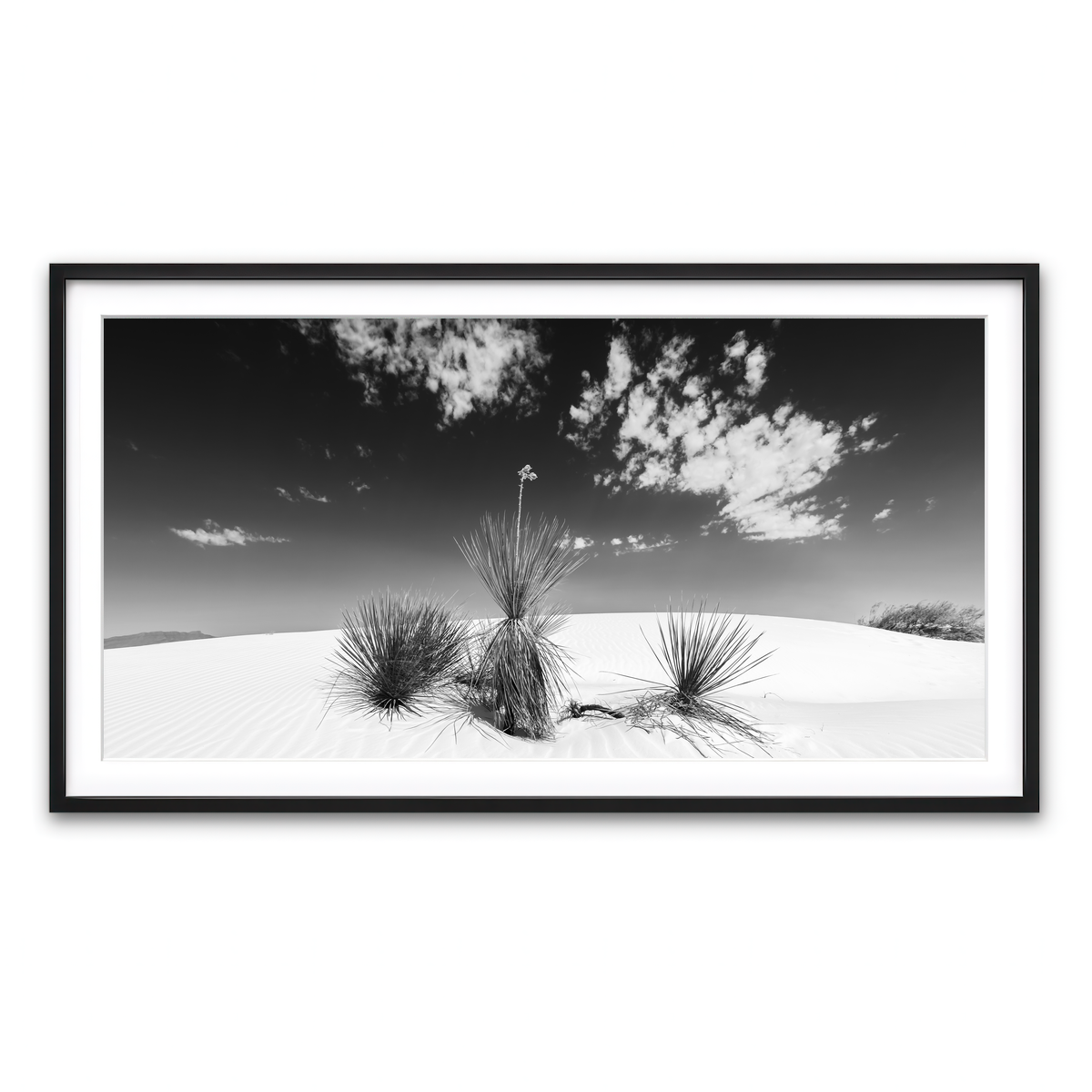 Framed Print 2x1 Black