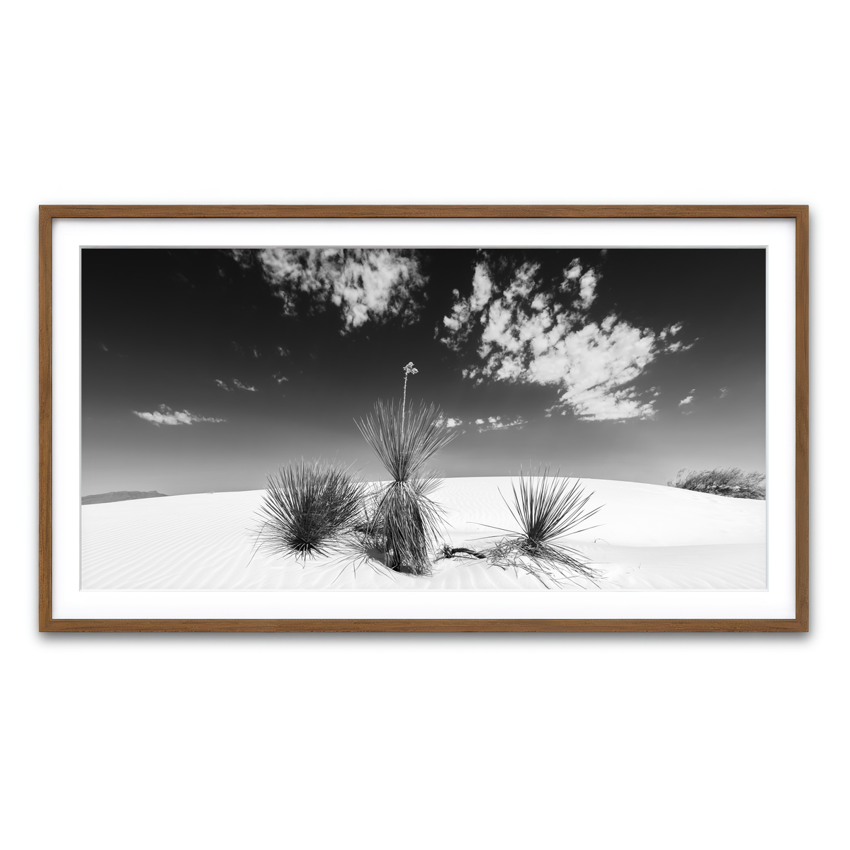Framed Print 2x1 Walnut