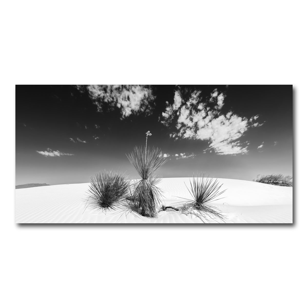 AUTO-MOCKUP WHITE | White Sands Impression  Monochrome | 1 Piece | Gallery Wrap Canvas | group=2x1