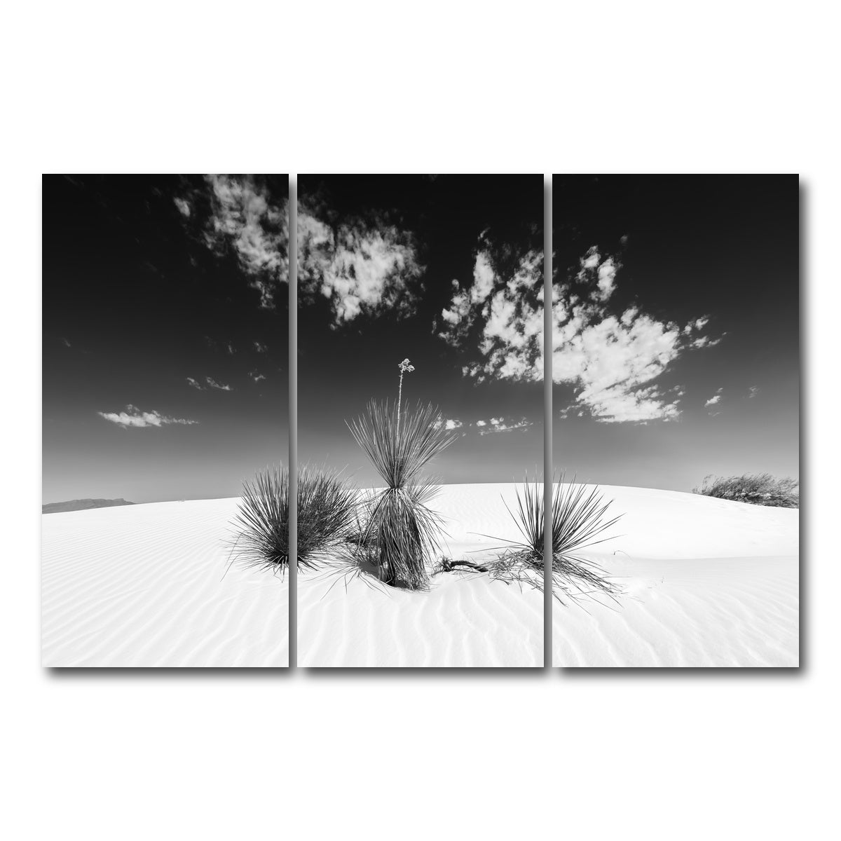AUTO-MOCKUP WHITE | White Sands Impression  Monochrome | 3 Piece | Gallery Wrap Canvas | group=12x24