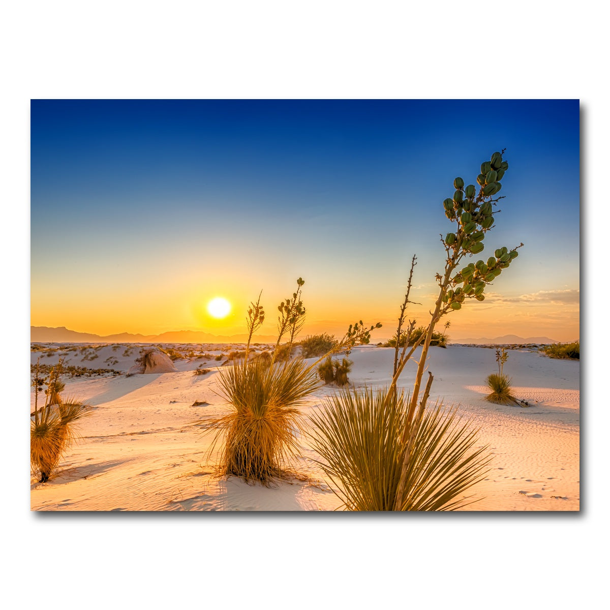 AUTO-MOCKUP WHITE | White Sands Sunset | 1 Piece | Gallery Wrap Canvas | group=4x3