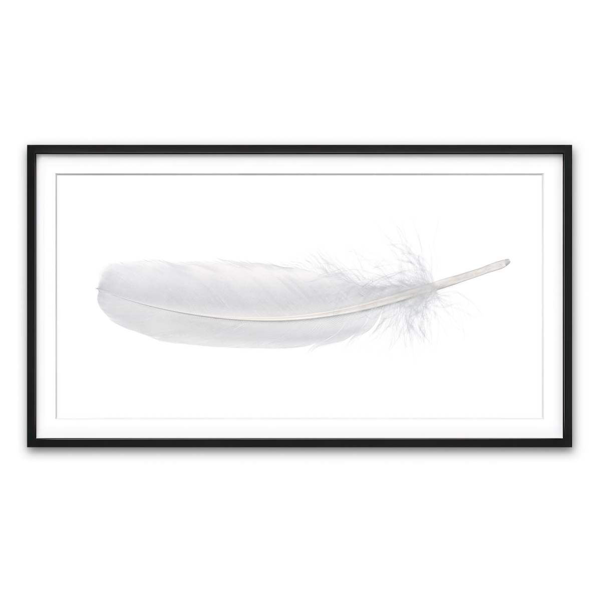 Framed Print 2x1 Black