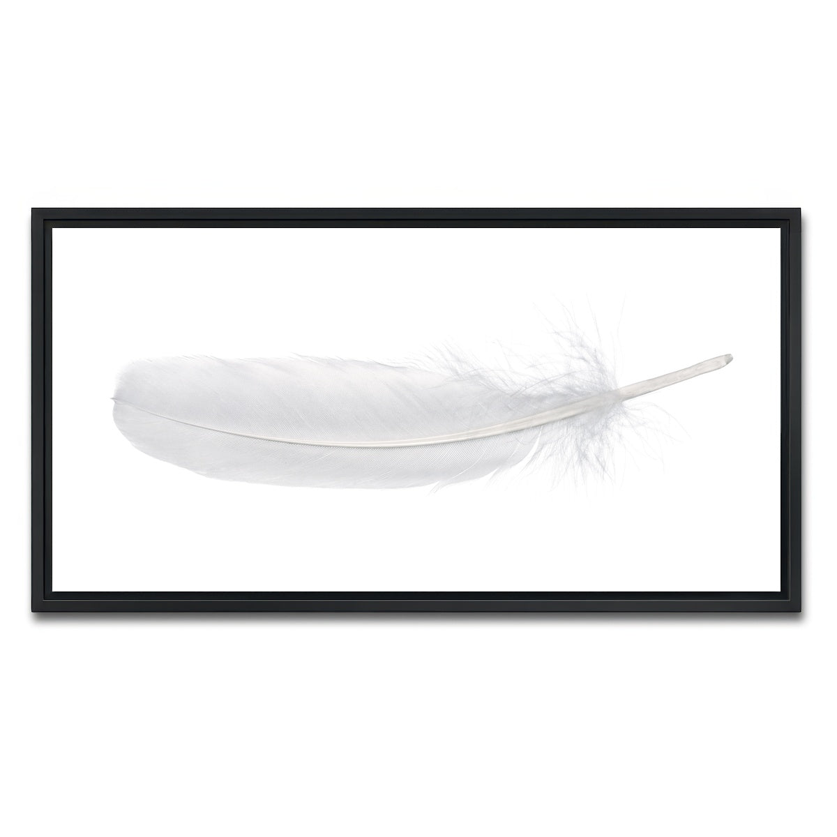 AUTO-MOCKUP WHITE | White Swan Feather | 1 Piece | Black Framed Canvas | group=2x1