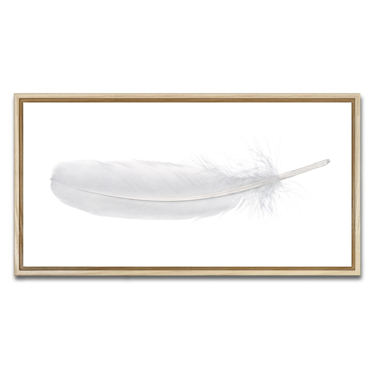 AUTO-MOCKUP WHITE | White Swan Feather | 1 Piece | Natural Framed Canvas | group=2x1