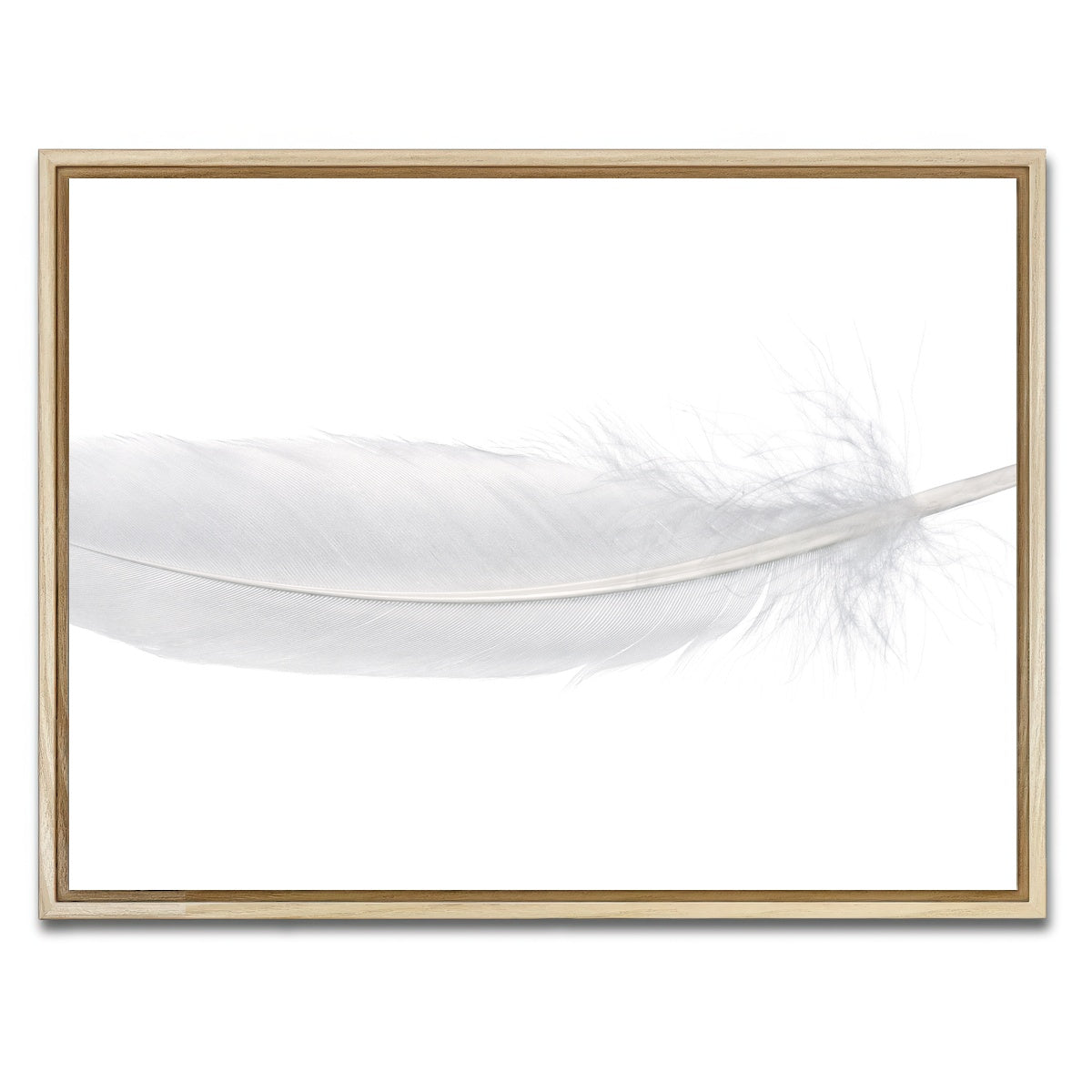 AUTO-MOCKUP WHITE | White Swan Feather | 1 Piece | Natural Framed Canvas | group=4x3