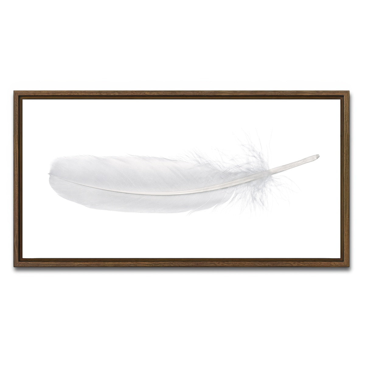 AUTO-MOCKUP WHITE | White Swan Feather | 1 Piece | Walnut Framed Canvas | group=2x1