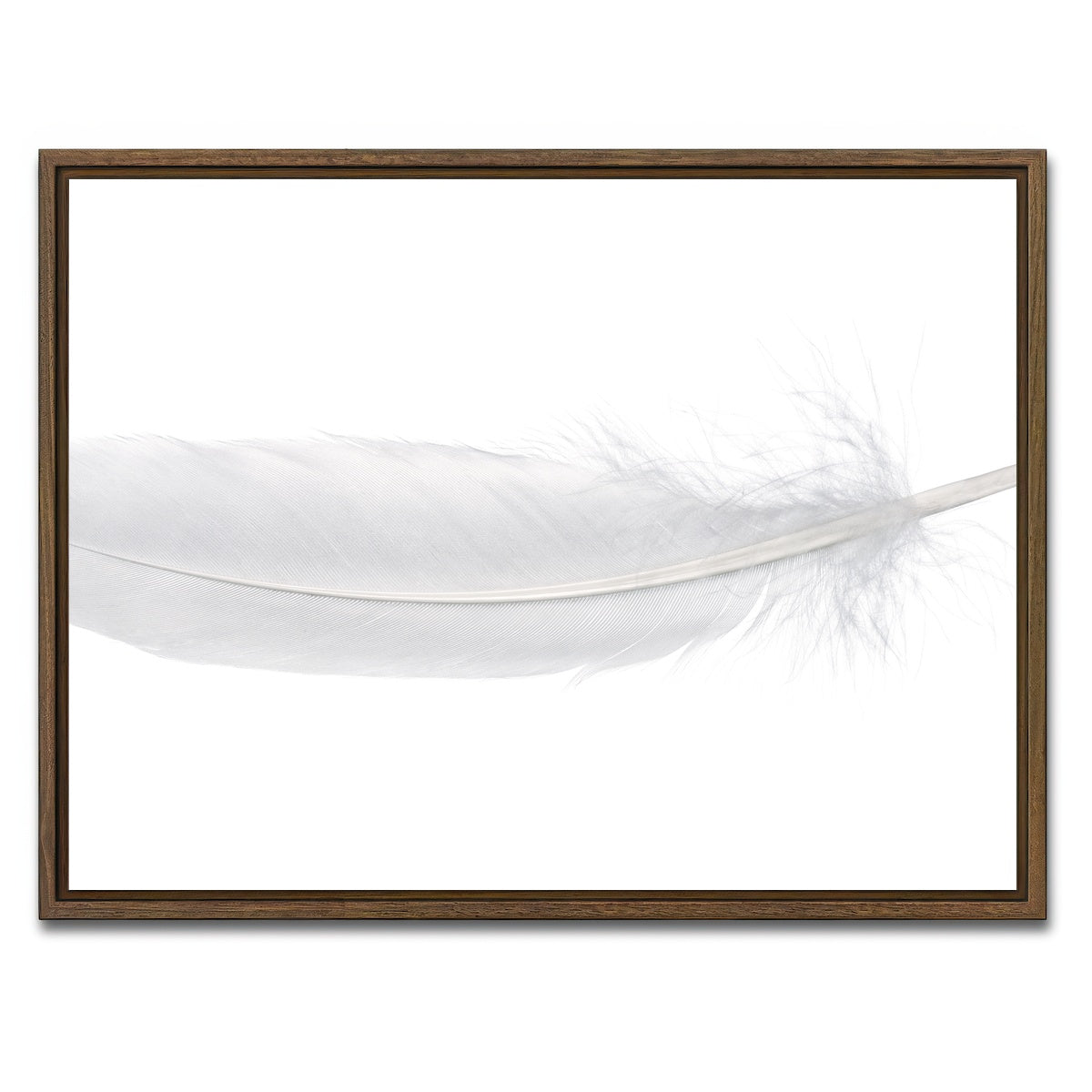 AUTO-MOCKUP WHITE | White Swan Feather | 1 Piece | Walnut Framed Canvas | group=4x3