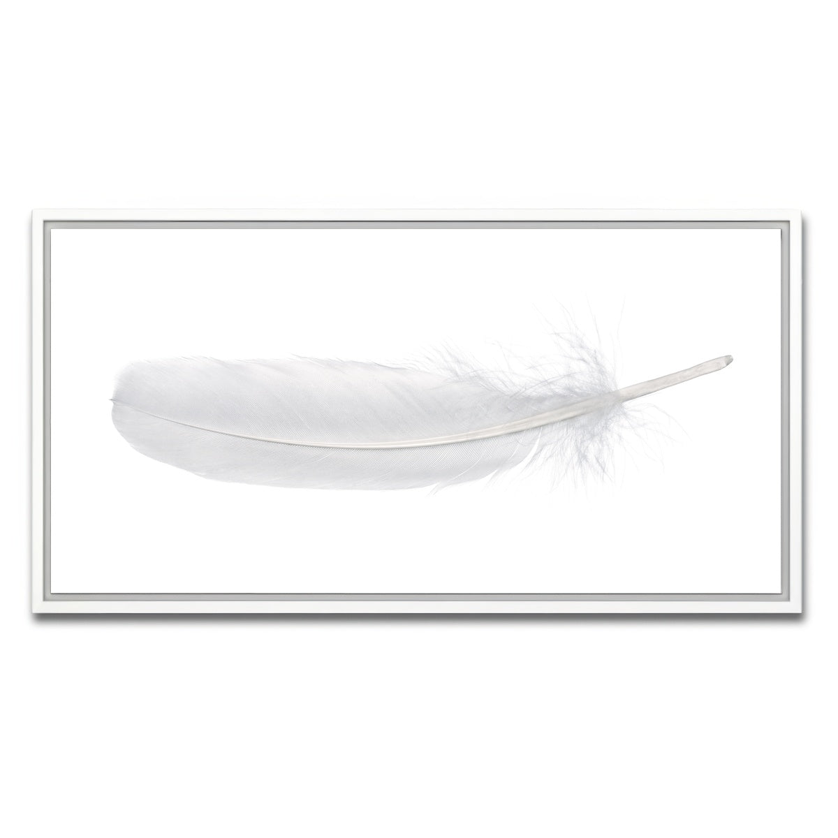 AUTO-MOCKUP WHITE | White Swan Feather | 1 Piece | White Framed Canvas | group=2x1