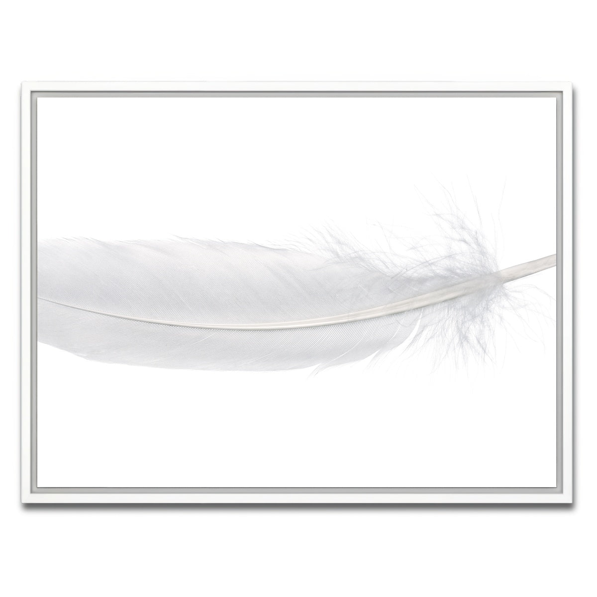 AUTO-MOCKUP WHITE | White Swan Feather | 1 Piece | White Framed Canvas | group=4x3